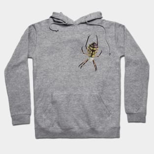 Yellow Garden Spider Hoodie